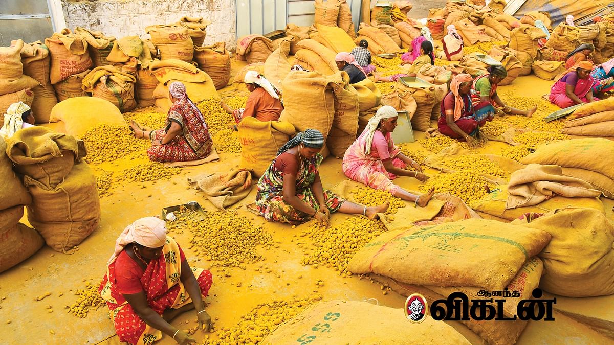 தமிழகத் தொழில்கள்