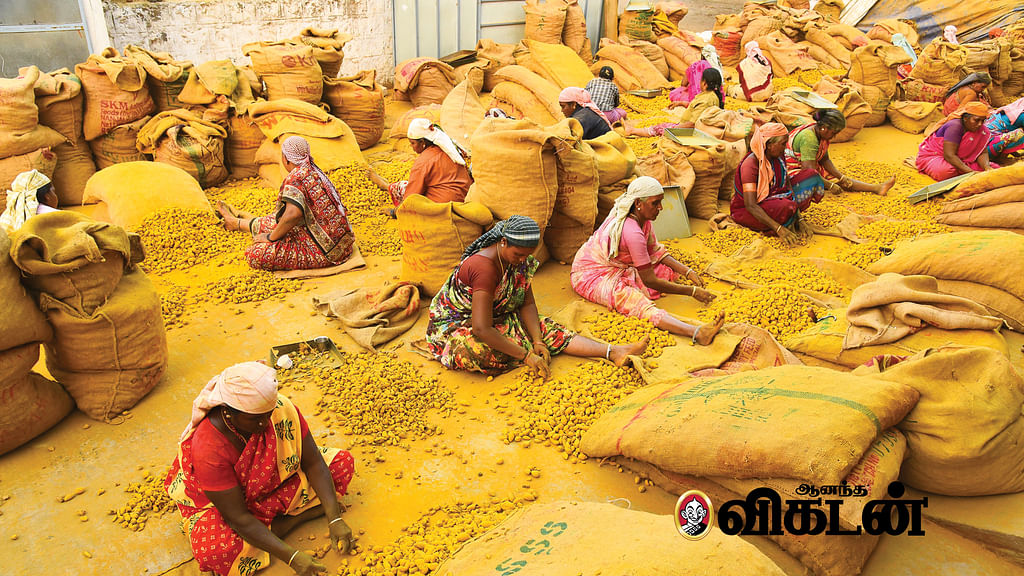 தமிழகத் தொழில்கள்
