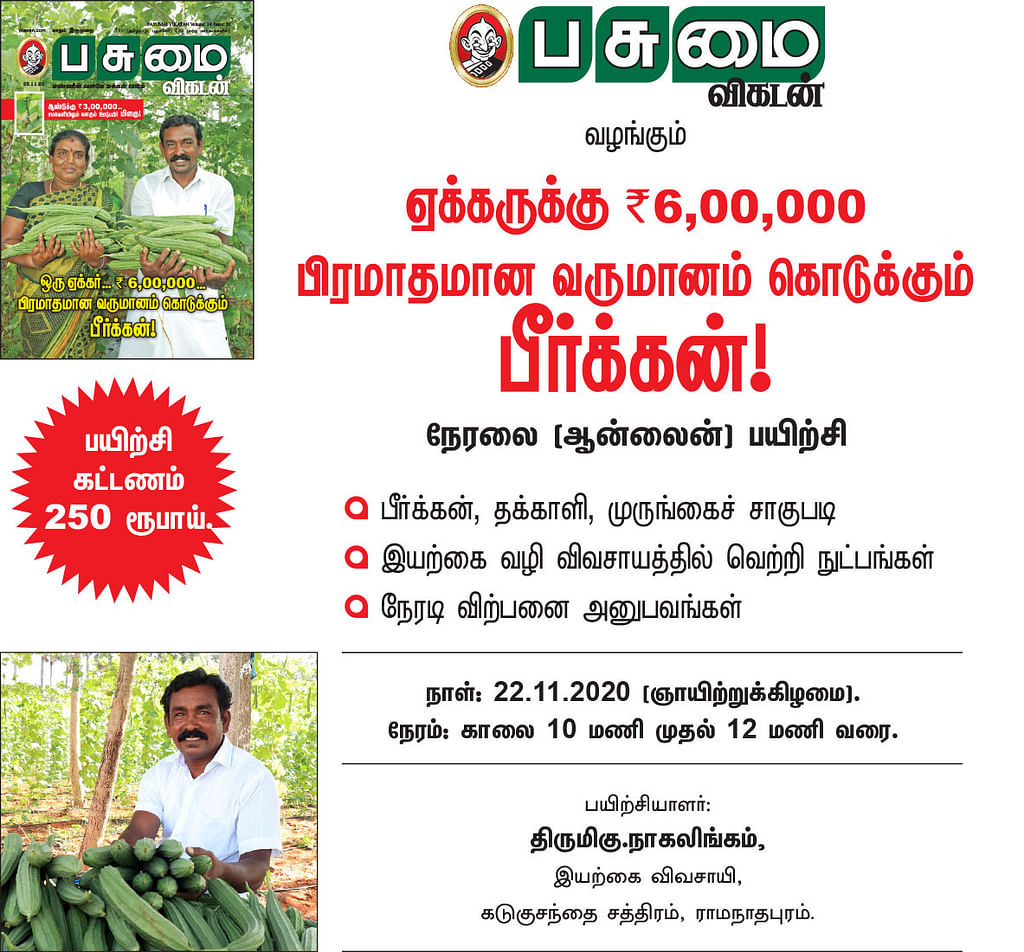ஒரு ஏக்கர்... ரூ. 6,00,000... பிரமாதமான வருமானம் கொடுக்கும் பீர்க்கன்!