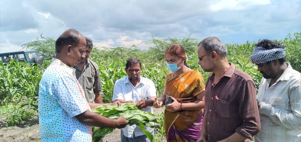 பாதிப்பை ஆய்வு செய்யும் அதிகாரிகள்