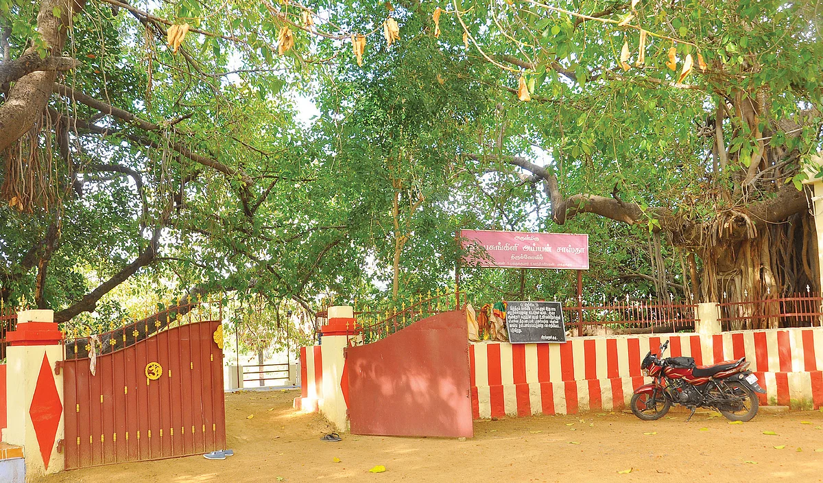 பிள்ளை வரம் அருளும் ஸ்ரீபசுங்கிளி சாஸ்தா!