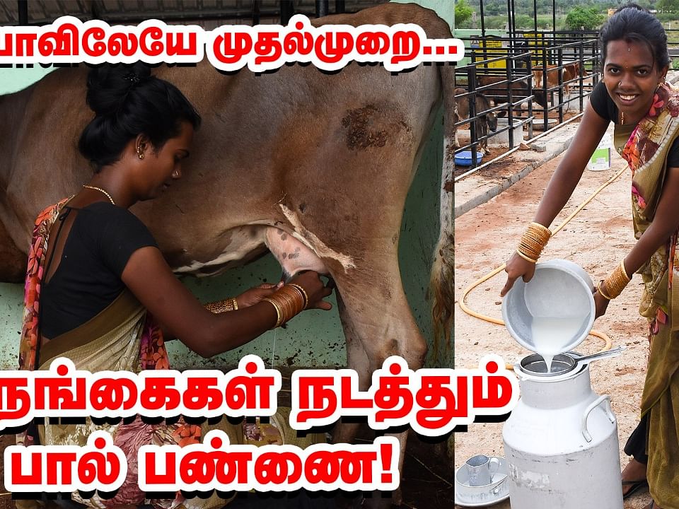பிரம்மாண்டமான பால்பண்ணை... இந்தியாவிலேயே முதல்முறை... அசத்தும் திருநங்கைகள்!