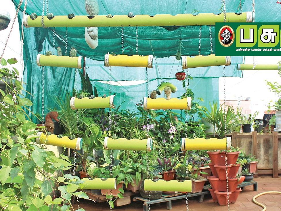 மானிய விலையில் வீட்டுத்தோட்ட தொகுப்பு; மக்களை ஊக்குவிக்க தோட்டக்கலைத்துறை புது முயற்சி!