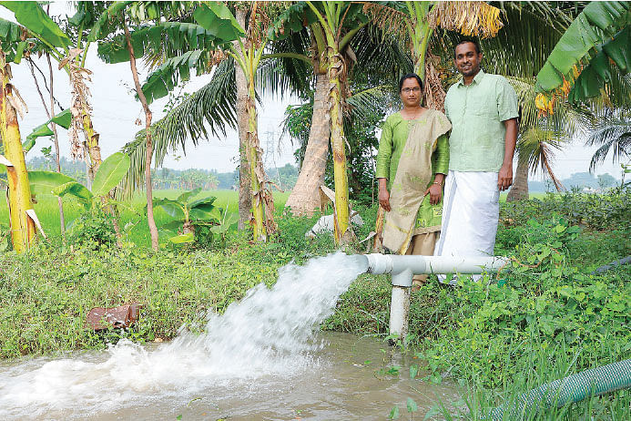 பாரம்பர்ய நெல், காய்கறிகள், மரம் வளர்ப்பு...