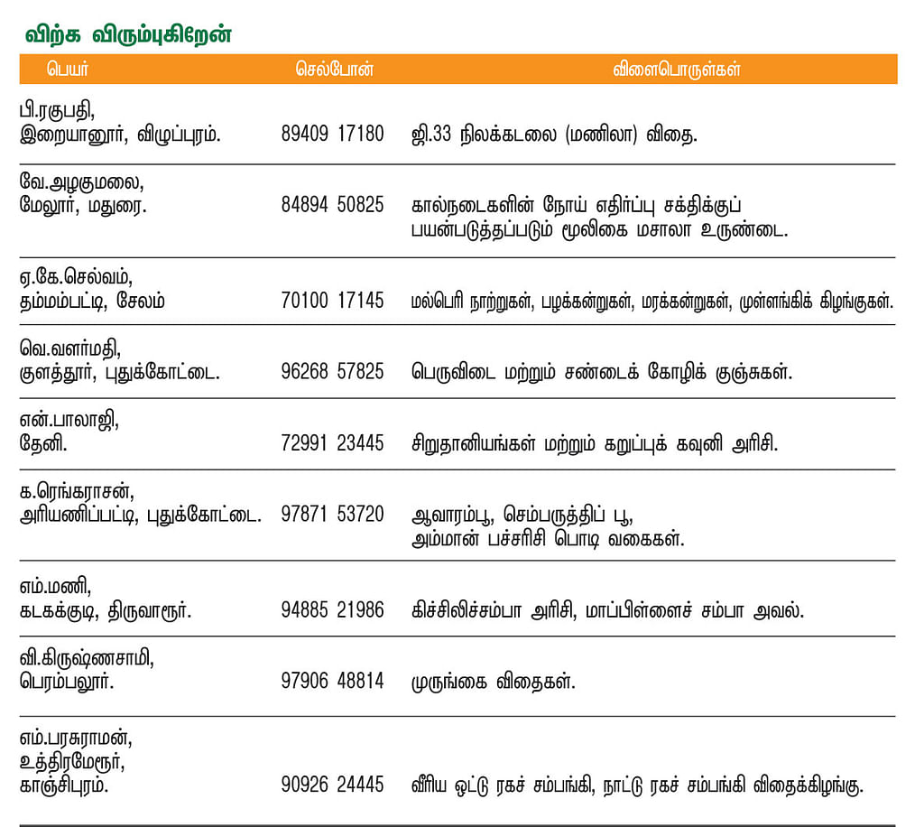 பசுமை சந்தை