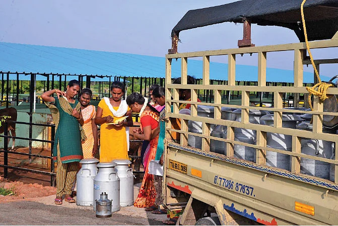 பாலை வண்டியில் ஏற்றும் பணி