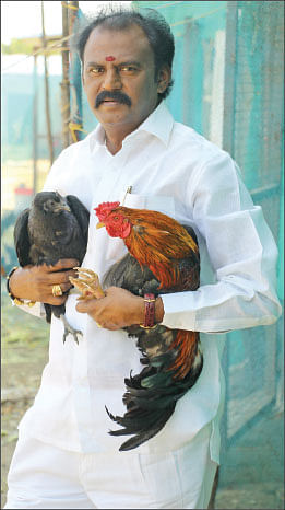 800 கோழிகள்... மாதம் ரூ. 3,70,000... செலவைக் குறைக்கும் அசோலா!