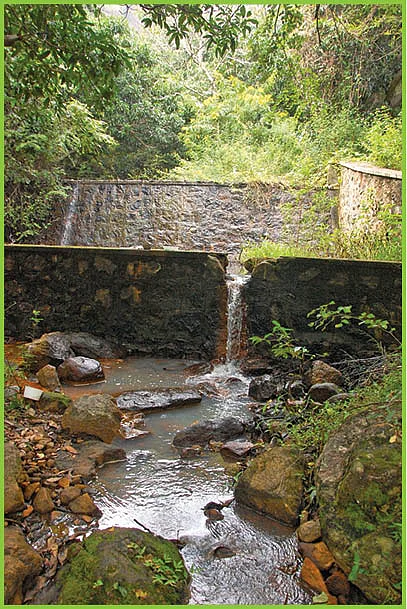 சிறிய சுனை