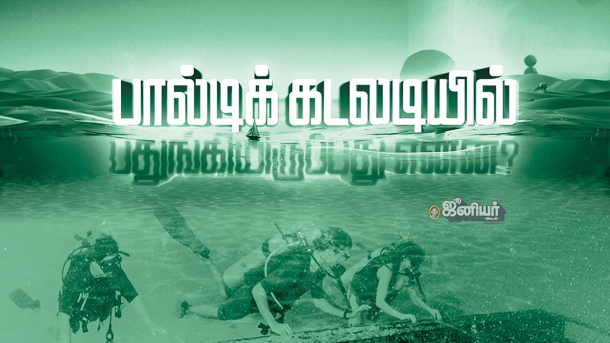 பால்டிக் கடலடி