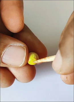 இந்தப் பலகாரங்கள் ரசிப்பதற்கு மட்டுமே! - மயக்கவைக்கும் மினியேச்சர் ஆர்ட்