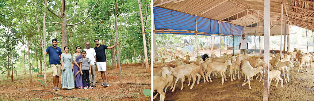 குடும்பத்தினருடன், ஆடுகளுடன்