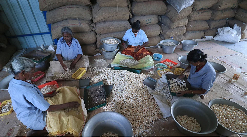மீன், கருவாடு, சங்கு, சிப்பி, பாசி... இது கடலம்மா போடுற சோறு!