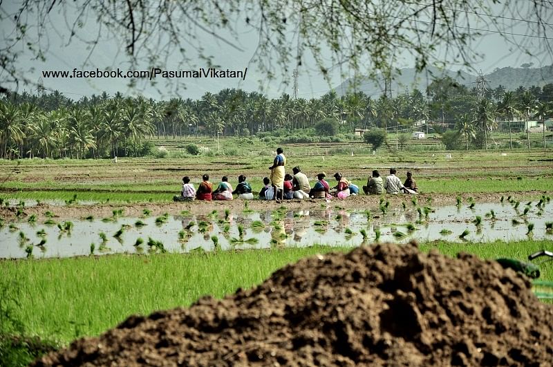 விவசாயம்