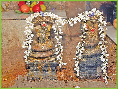 ஸ்ரீநாகராஜர்