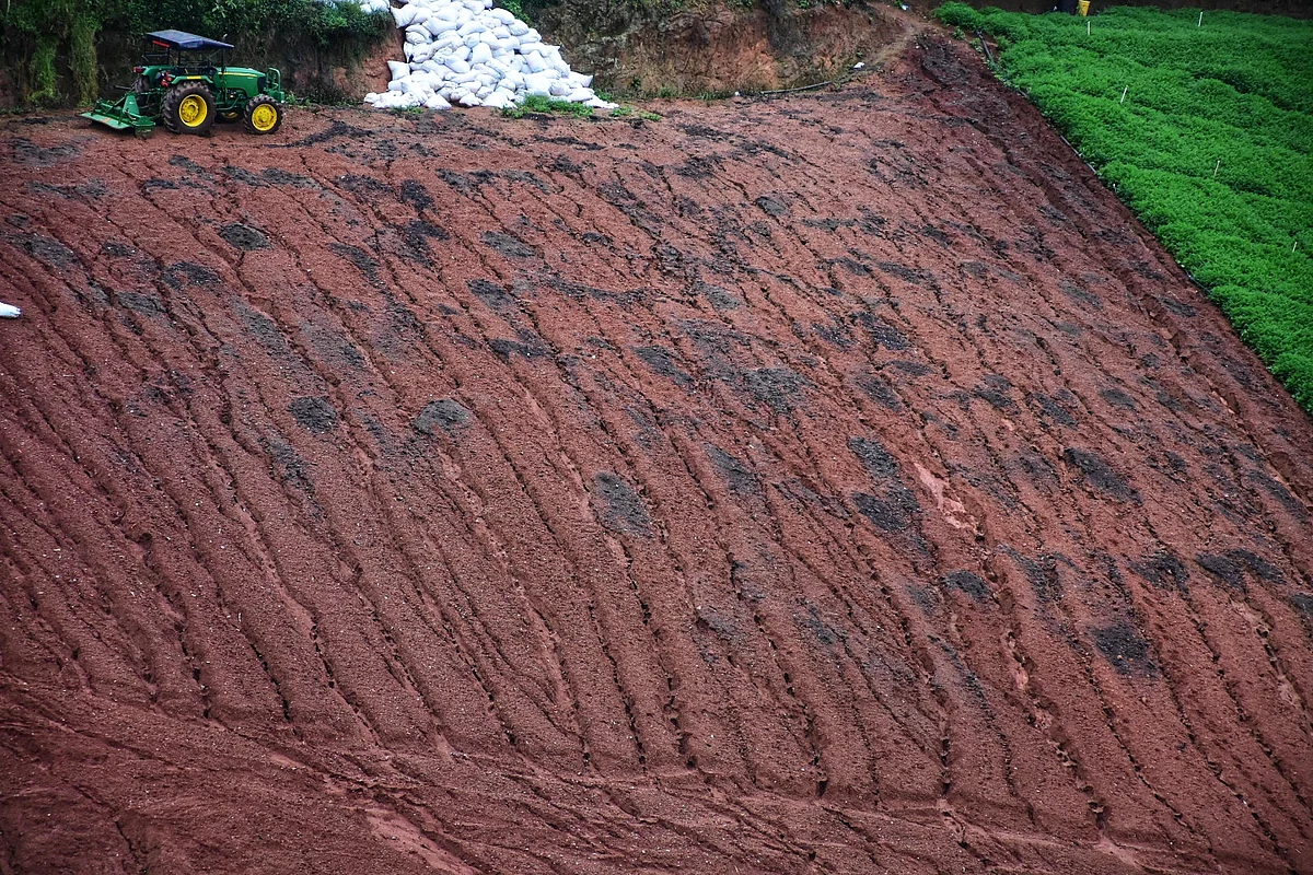 மண் அரிப்பு