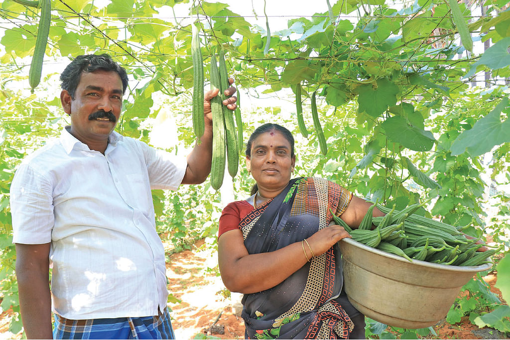 தோட்டத்தில் மனைவியுடன் நாகலிங்கம்