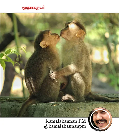 விகடன் PIXEL