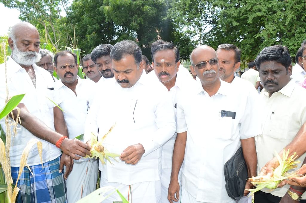 விருதுநகரில் அய்வு செய்த எம்.பி மாணிக்தாகூர்