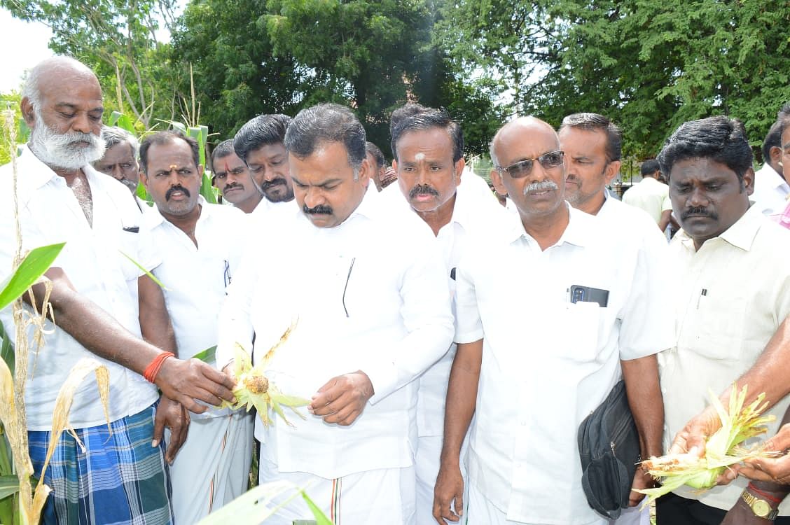 விருதுநகரில் அய்வு செய்த எம்.பி மாணிக்தாகூர்