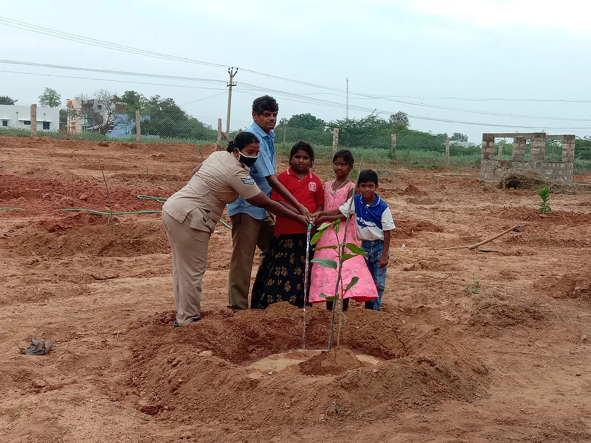 கரூர்: 3 ஏக்கர் நிலத்தில் 250 மரக்கன்றுகள்... `பசுமைக் காவலர்'களான தோகைமலைக் காவலர்கள்!