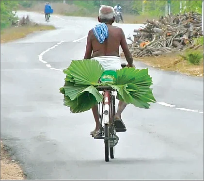 எனக்கு 80 உனக்கு 74... விசிறி விற்று வாழும் வைராக்கிய தம்பதி