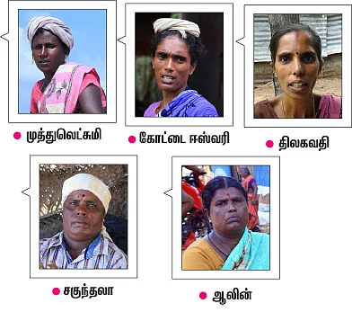 மீன், கருவாடு, சங்கு, சிப்பி, பாசி... இது கடலம்மா போடுற சோறு!