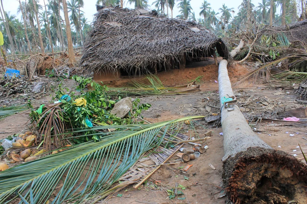 கஜா புயல் பாதிப்பு