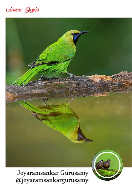 விகடன் PIXEL