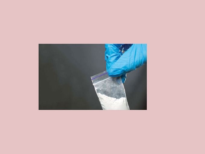 புள்ளிவிவரப் புலி