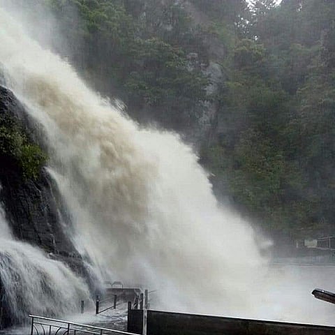 கனமழை: குற்றாலம் பேரருவி வெள்ளப்பெருக்கில் சிக்கி 3 வயது  குட்டி யானை பலி!