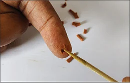 இந்தப் பலகாரங்கள் ரசிப்பதற்கு மட்டுமே! - மயக்கவைக்கும் மினியேச்சர் ஆர்ட்