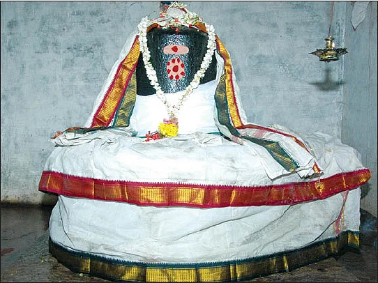 ஸ்ரீசங்கர நாராயணர்