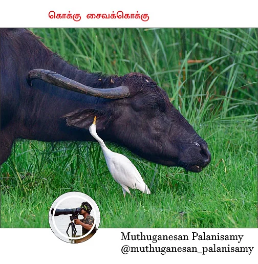 விகடன் PIXEL