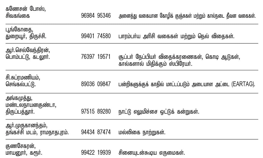 பசுமை சந்தை