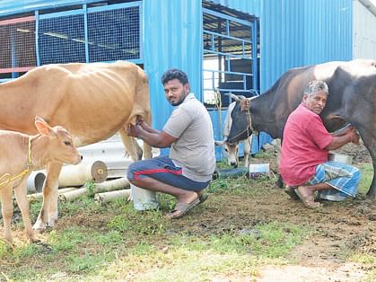 மாதம் ரூ.46,200 பால், பனீர், தயிர்... மதிப்புக்கூட்டல் கொடுக்கும் மகத்தான லாபம்!