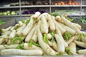 முள்ளங்கி