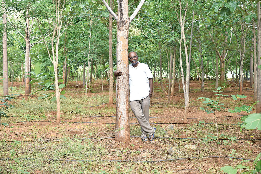 தான் வளர்த்த காட்டில் நவநீதகுமார்