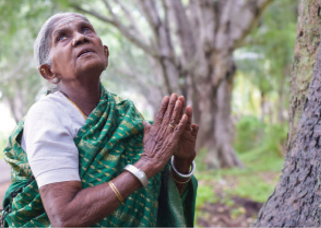 “நான் வளர்த்த மரங்களின் மதிப்பு 400 கோடி ரூபாய்!”