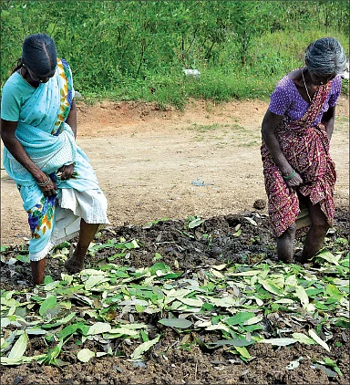 அள்ள அள்ள வருமானம்... கறுப்புத் தங்கத்தில் அட்டகாசமான லாபம்!