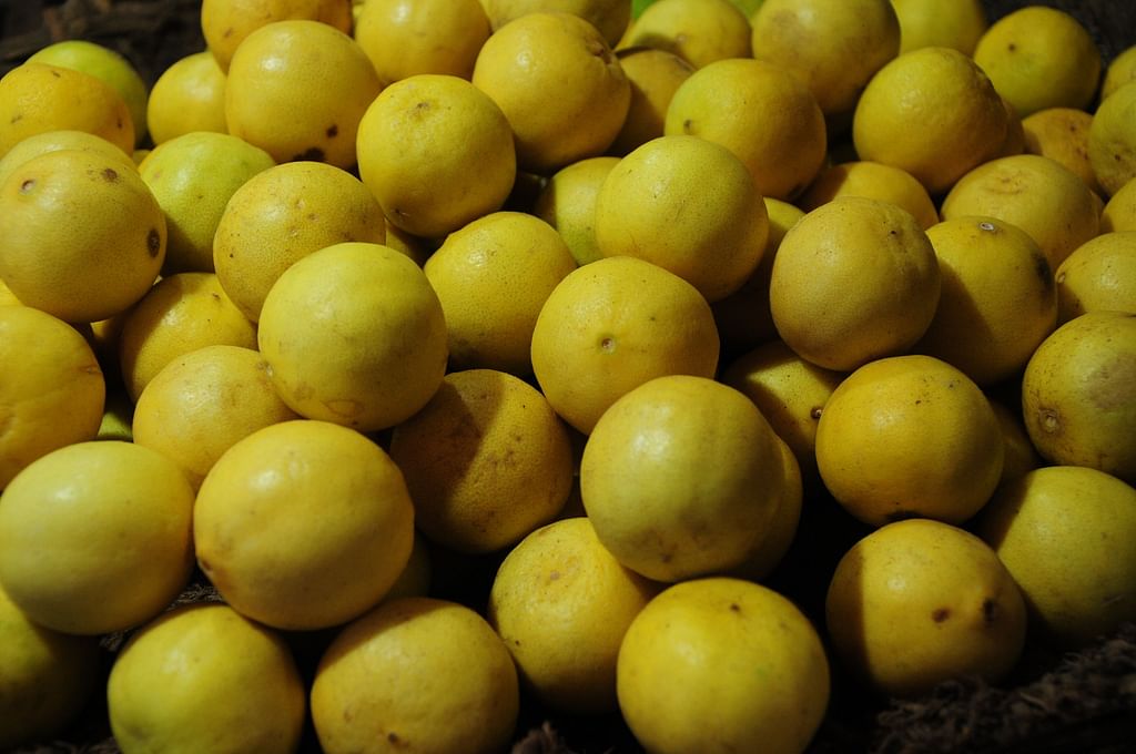 Lemon