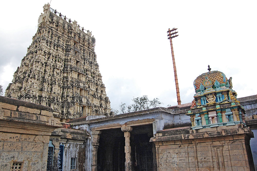 நாரதர் உலா: பரிகார பூஜைகள் எப்போது தொடங்கும்!