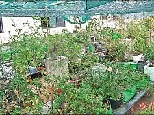 விவசாய பண்ணைகளில் பணியாற்ற உதவும் புதிய படிப்புகள்; வேளாண் பல்கலைக்கழகம் அறிமுகம்!