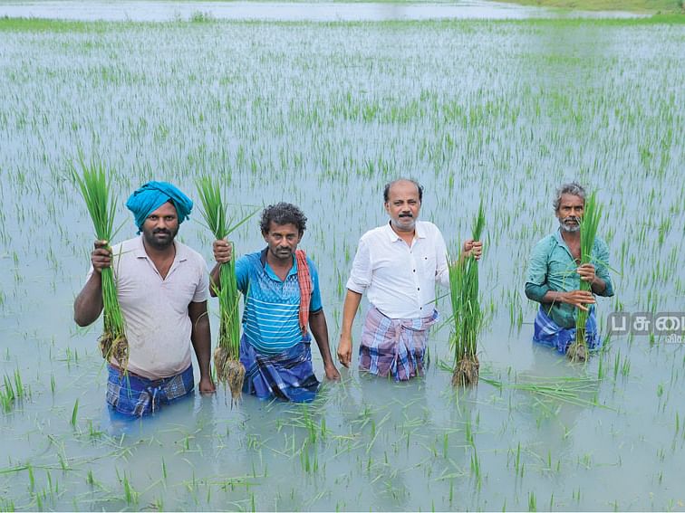 மழைநீரில் மூழ்கிய பயிர்கள்... பதைபதைக்கும் விவசாயிகள்!