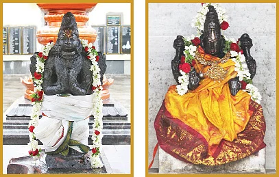 சொந்த வீடு செல்வ வளம்
கல்யாண வரம்... கனவை நனவாக்கும் ஸ்ரீவராகர் தரிசனம்