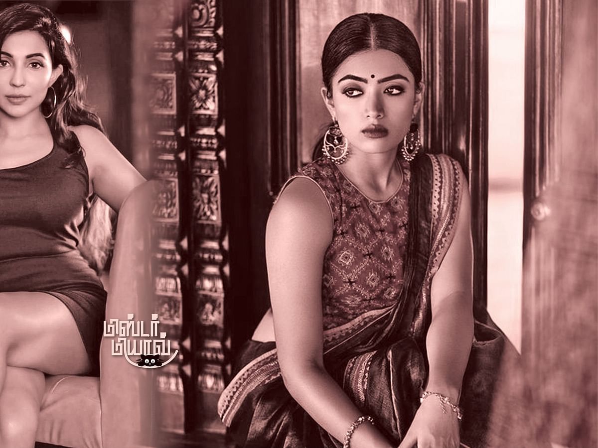 மிஸ்டர் மியாவ்