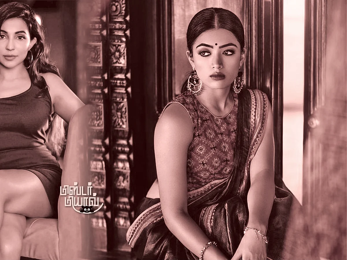 மிஸ்டர் மியாவ்