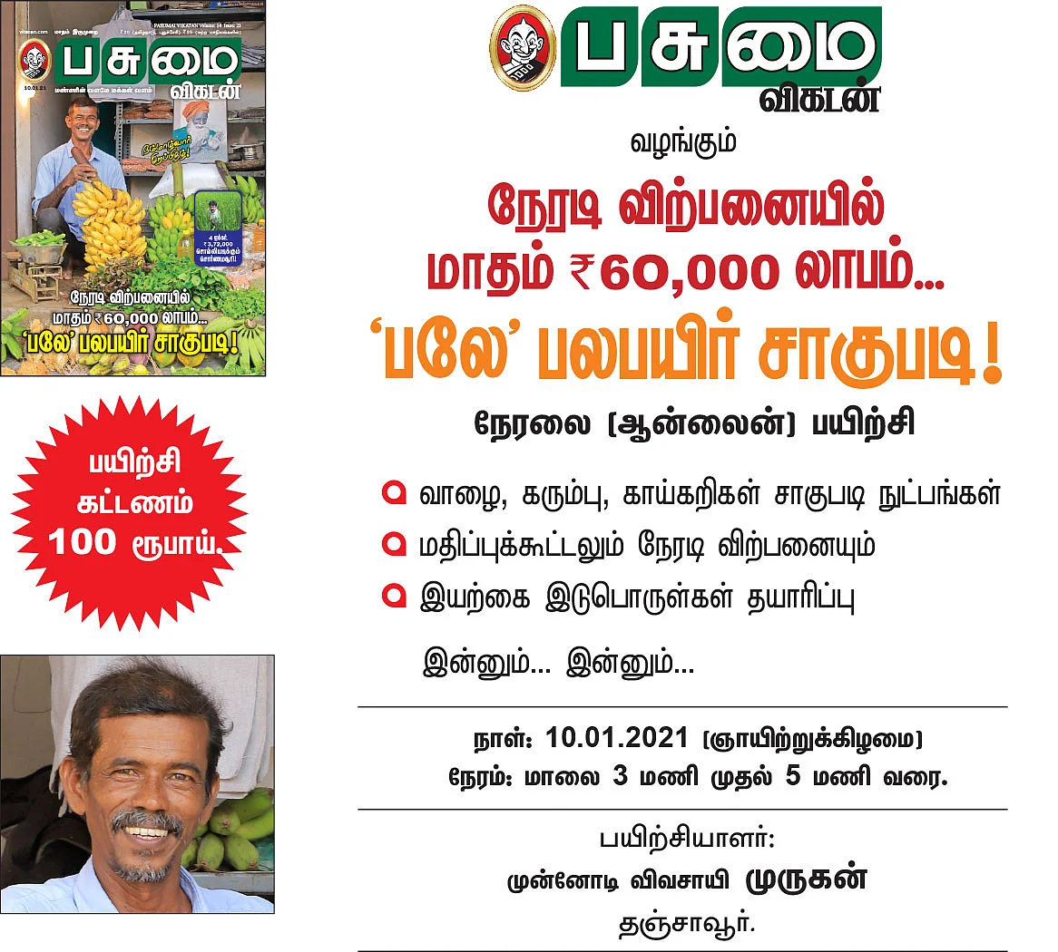 நேரடி விற்பனையில் மாதம் ரூ. 60,000 லாபம்... ‘பலே’ பலபயிர் சாகுபடி!