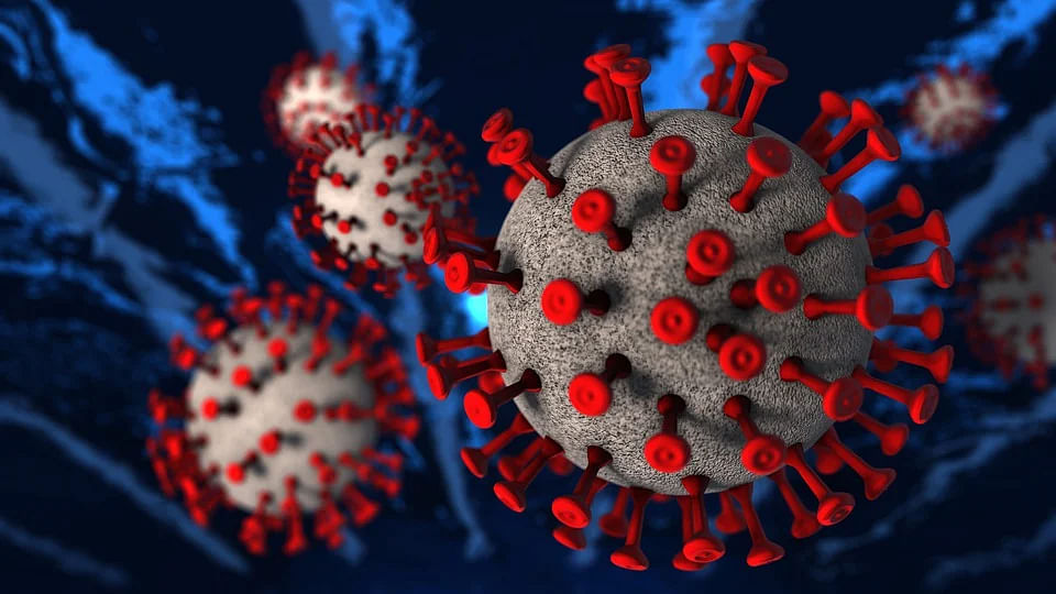 Corona Virus  - Representational Image
