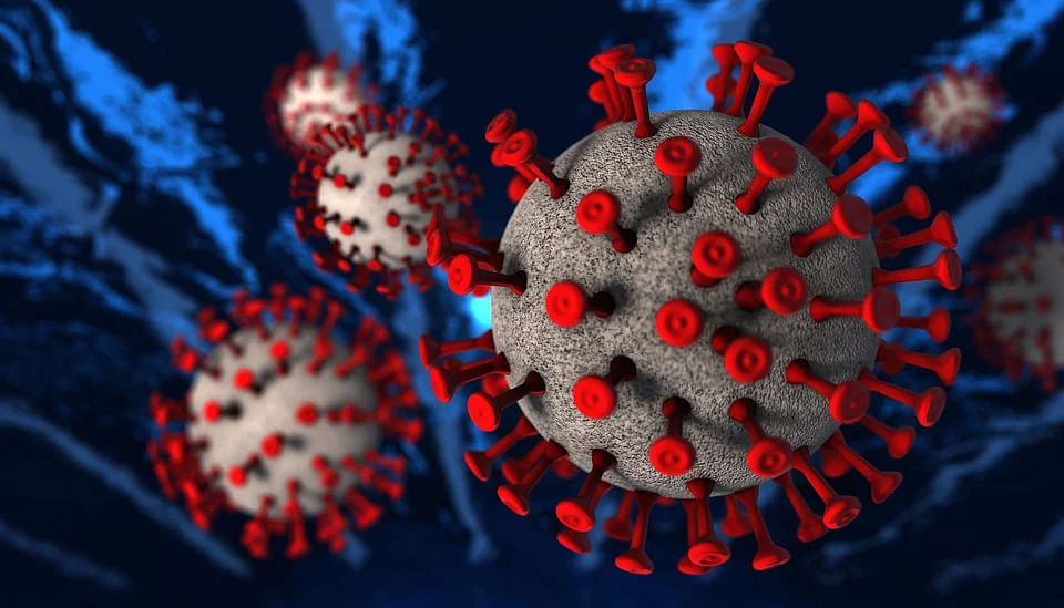 Corona Virus (Representational Image)