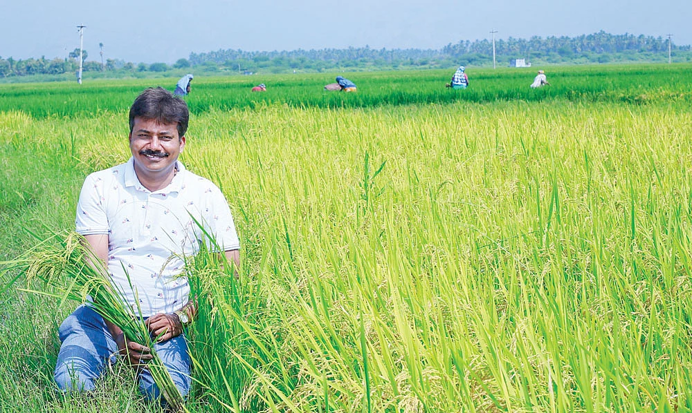 நெல் வயலில் முகேஷ் சதாசிவம்
